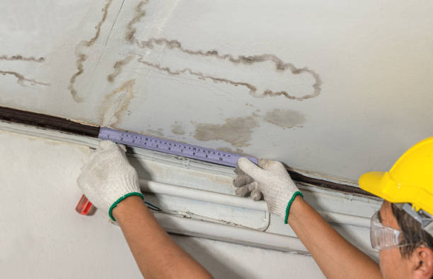 Reliable Water Damage Repair contractor in Laporte, CO by Aqua Guard Water Damage